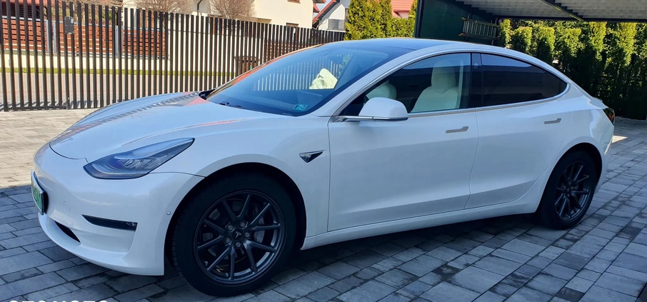 Tesla Model 3 cena 149000 przebieg: 50500, rok produkcji 2019 z Mielec małe 121